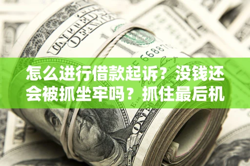 武汉怎么进行借款起诉？没钱还会被抓坐牢吗？抓住最后机会！
