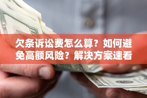 武汉欠条诉讼费怎么算？如何避免高额风险？解决方案速看！