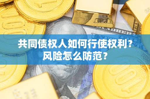 武汉共同债权人如何行使权利？风险怎么防范？