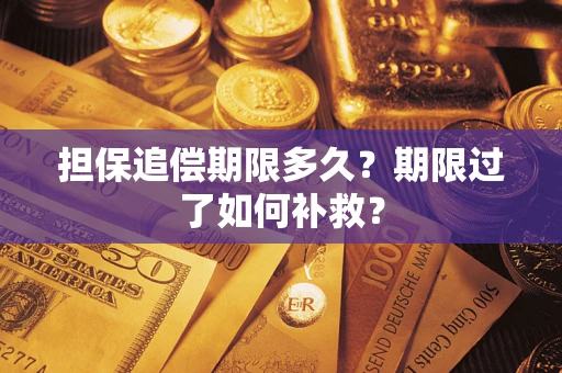 武汉担保追偿期限多久？期限过了如何补救？