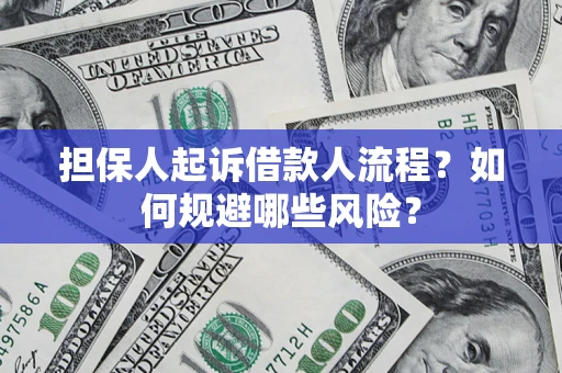 武汉担保人起诉借款人流程？如何规避哪些风险？