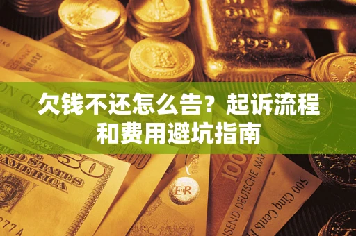 武汉欠钱不还怎么告？起诉流程和费用避坑指南